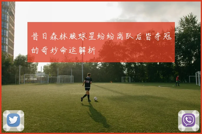 昔日森林狼球星纷纷离队后皆夺冠的奇妙命运解析